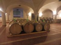 Wine Resort, Civitella Paganico, Grosseto, S395