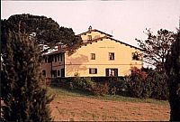Agriturismo, Montopoli, Pisa, A120